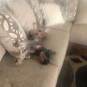 Meet your Posher, Jackie